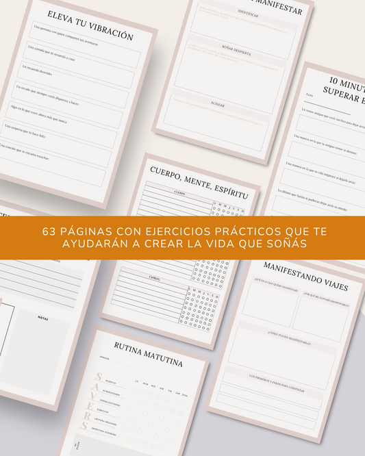 Diario de Manifestación