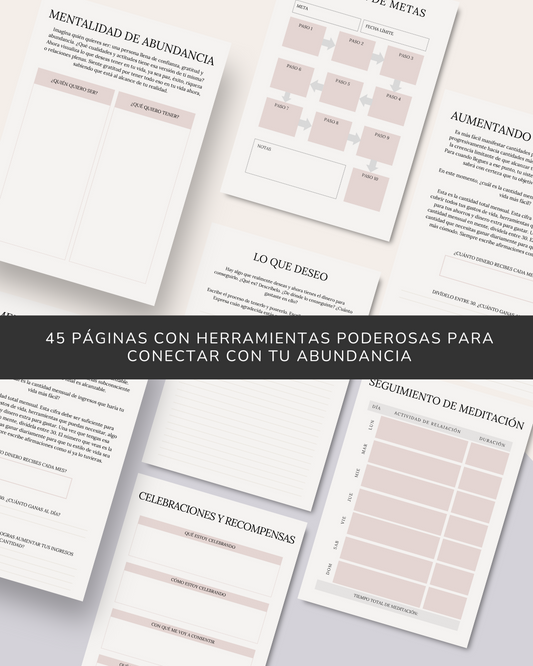 Diario de Abundancia