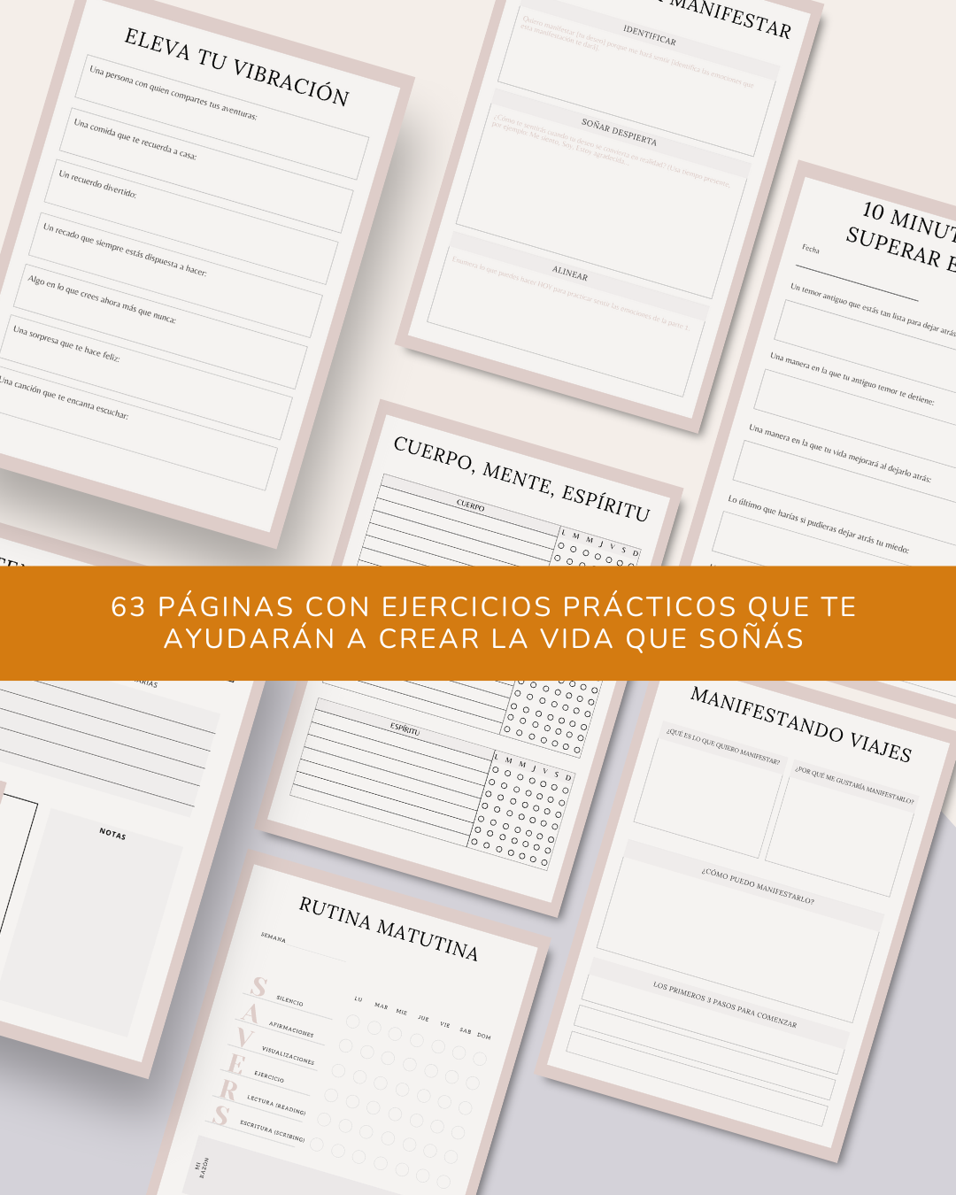Diario de Manifestación