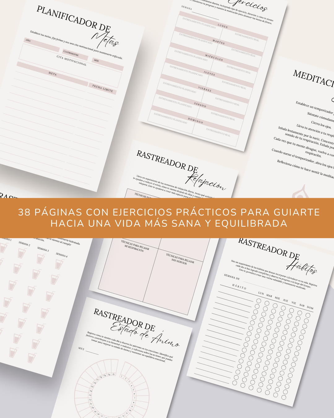 Diario de Manifestación + 2 bonus 🎁